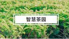 智慧茶園解決方案