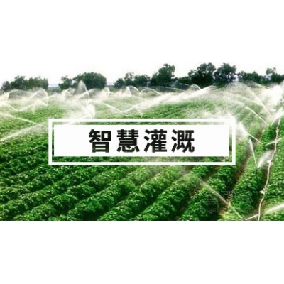 智慧灌溉解決方案 水肥一體化 自動灌溉系統(tǒng)